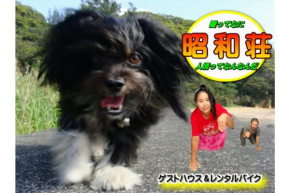 Amami Guest House showa-so